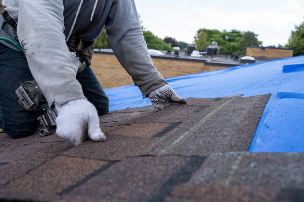 Best Shingle Roofing Installation  in Craigsville, WV