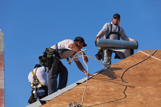 Best Best Roofing Contractors  in Craigsville, WV